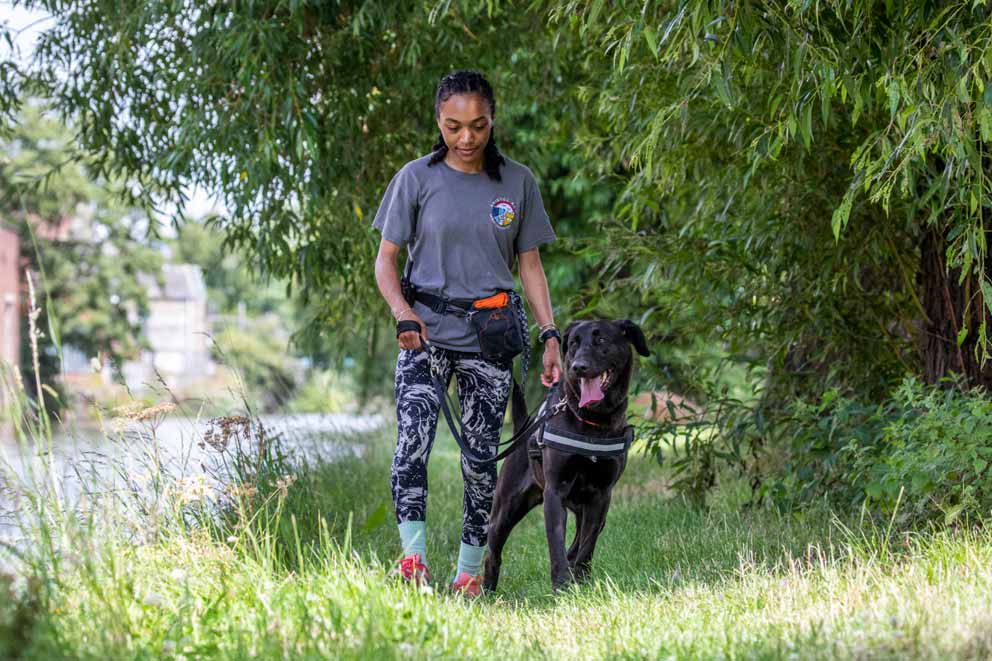 A woman walking a dog along a shady path next to a river .