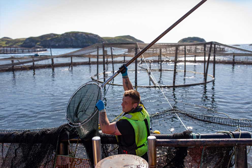 A fish farmer at work in Scotland.