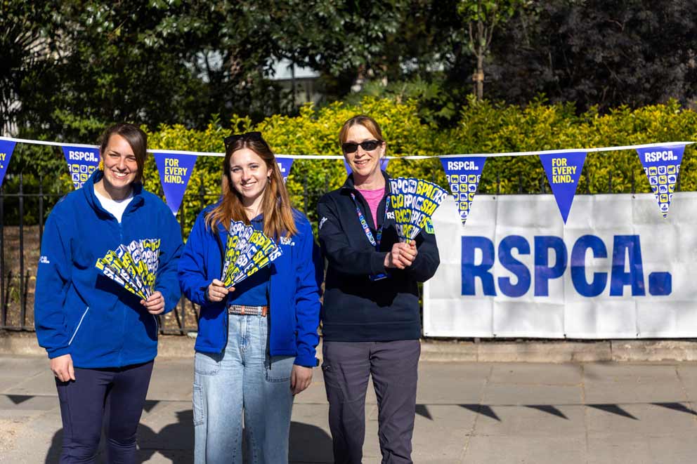 RSPCA staff and volunteers at the London Landmarks Half Marathon 2025.
