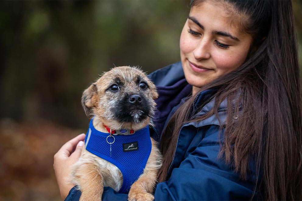 A young woman holding a small dog wearing a jacket.
