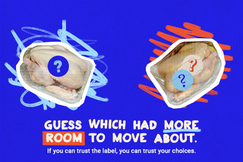 Two images showing different whole chicken packages in a neutral background: can you guess which had more room to move about? If you can trust the label, you can trust your choices.