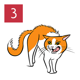 An illustration of a cat standing with its back arched holding itself tensely.