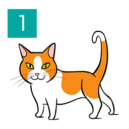 An illustration of a cat standing in a relaxed posture,